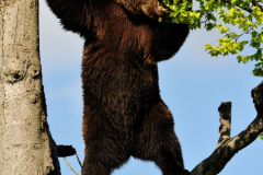 Foto: Xaver Klaußner