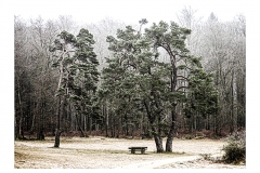 11-Rastplatz