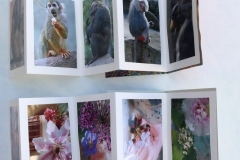 13_impressionenleporello-annette