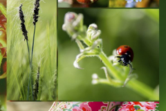 Foto: Eva Reuke
