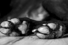 Foto: Eva Reuke