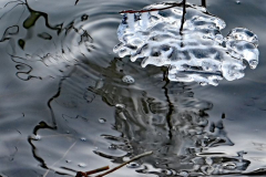 Foto: Marlies Mayer