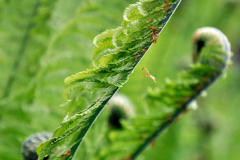 Foto: Gerd Löser