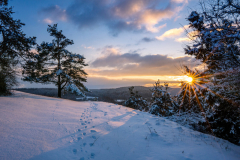 Foto: Lorenz von Koenen