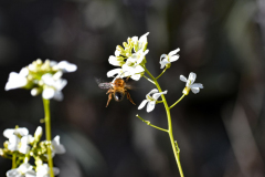 Foto: Marlies Mayer