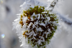 Foto: Tobias Antesberger