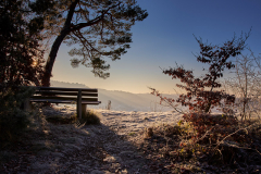 Foto: Tobias Antesberger