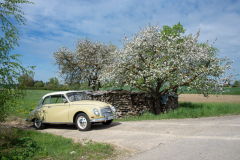 Foto: Uwe Bergmann