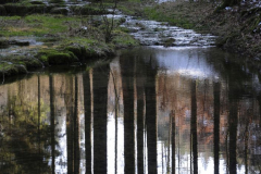 Foto: Gerd Löser
