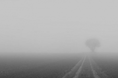 Foto: Tobias Antesberger