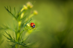 Foto: Birgit Vetter