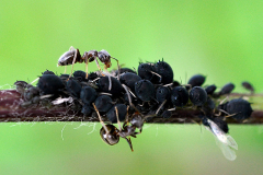 Foto: Gerhard Löser