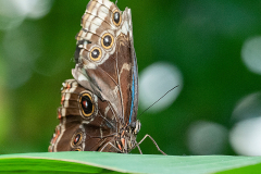Foto: Gisela Hetzer
