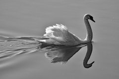 Foto: Marlies Mayer