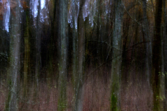 Foto: Norbert Mödl