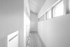kraus03