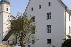 pedetti021