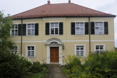 pedetti033