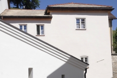 pedetti035