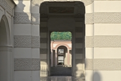 pedetti047