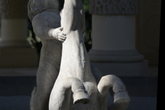pedetti050